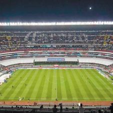 azteca-manita-de-gato.jpg