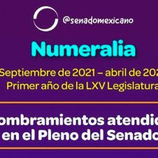 Infografìa-Senado-16-22-mayo-2022.jpg