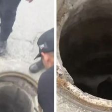 Rescatan a un hombre que llevaba 3 días atrapado en una alcantarilla de Guanajuato
