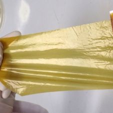 Alumnas de la UNAM crean plástico biodegradable con residuos de mango .jpg