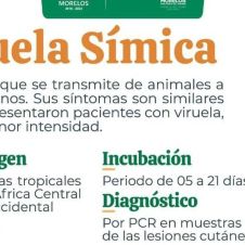 viruela del mono ssm.jpg