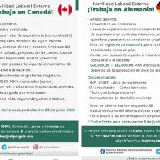 SNE vacantes alemania y canada.jpg