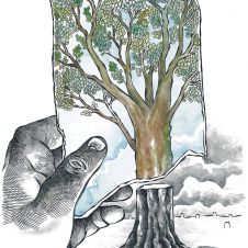 ecocidio-impune.jpg