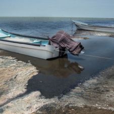 Laguna Superior del Istmo de Tehuantepec infectadas por aguas negras.jpg