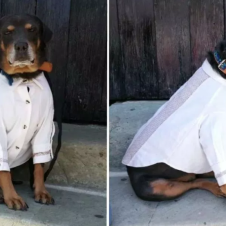 Captura de pantalla 2019-07-09 a las 5.15.42 p.m..png