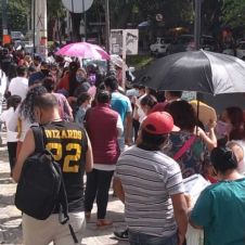 vacunas imss cuernavaca.jpg