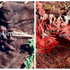 sospechan que cuerpo hallado es de Daniela.jpg