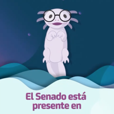 Ajolote-Senado-informa-110722.png