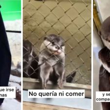 nutria.jpg