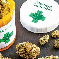 cannabis-medicinal-tecsalud-170722.jpg