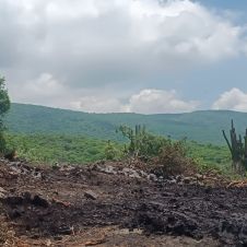 sierra montenegro.jpg