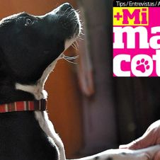 Sheriff-mi-mascota.jpg