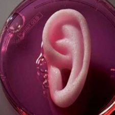 imprimen-oreja-3d-1250x658.jpg