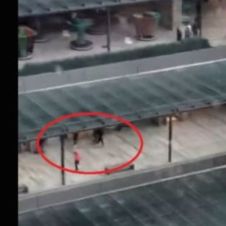 Graban balacera en Plaza de CDMX.jpg