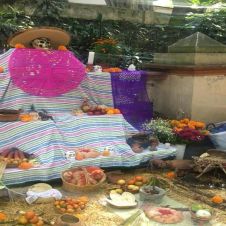 Inician instalación ofrendas en Parque Melchor Ocampo para concurso.jpg