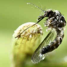 2016-10-31t120000z-962012887-tm3ecav0t2901-rtrmadp-3-health-zika-testes-1.jpg
