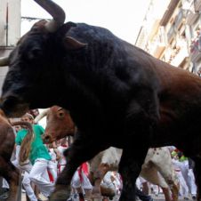 Toro embiste a hombre de la tercera edad que vendía frituras en plena corrida de toros.jpg