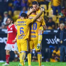 tigres.jpg tigres.jpg