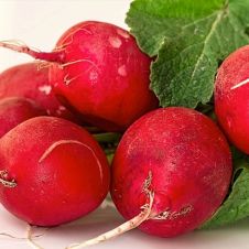 WhatsApp Image 2024-09-04 at 11.22.09 AM.jpeg