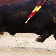 Torero mexicano resulta herido por cornada en el gemelo derecho.jpg