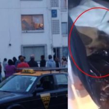 244a8adb83f8f874ef9480738090004bl-focus-0-0-983-557 (1).jpg