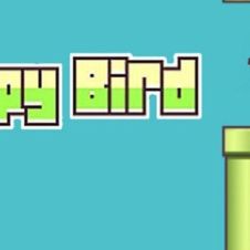flapy bird .jpg