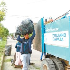 Regularizarán-recolección.jpg