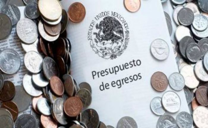 presupuesto-egresos-e1545844411566-1.jpg