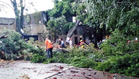 arboles-alerta-lluvias-240919.jpg
