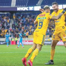 Sacan sus garras -Tigres-120320.jpg