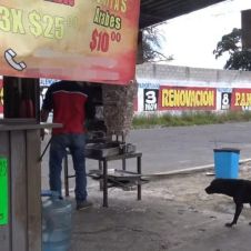 Taqueros en Puebla están en crisis en ventas por La Mataperros .jpg