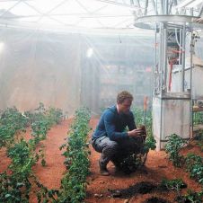 plantas.jpg