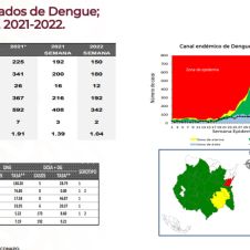 Dengue morelos.jpg