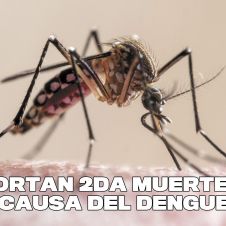 dengue-morelos-encabezado-081022.jpg
