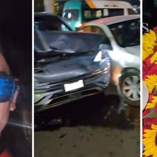 flores.jpg