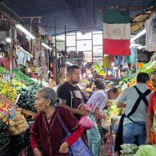 comerciantes alm.jpg