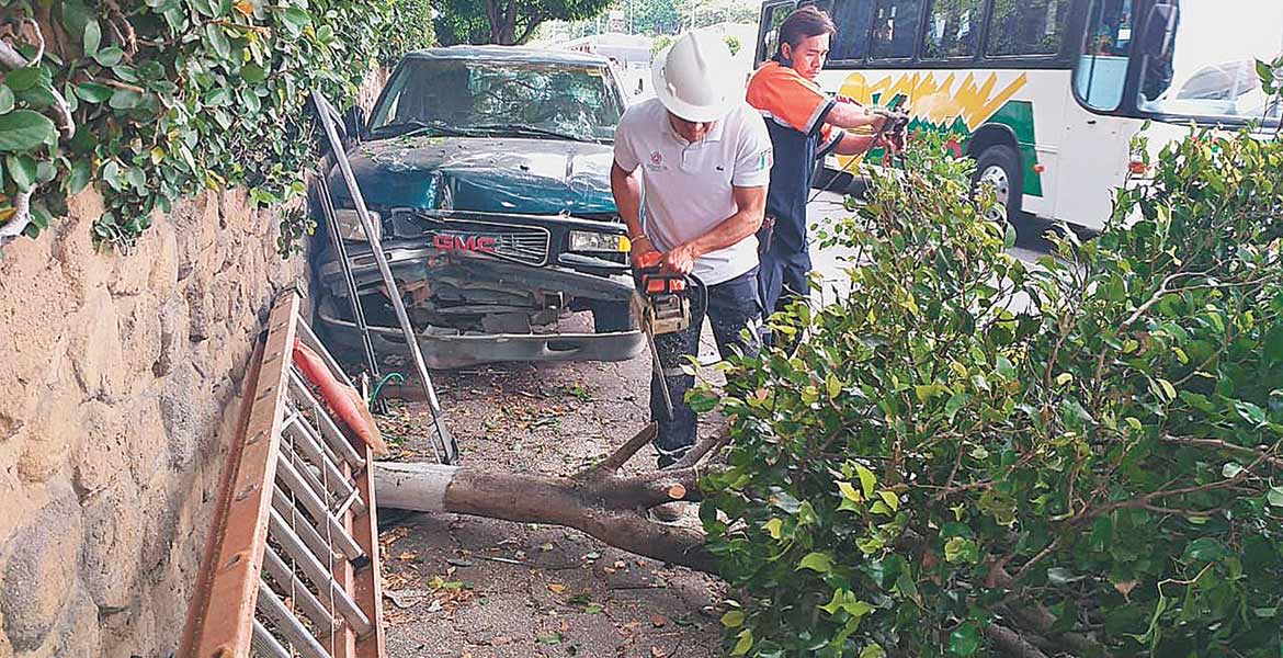 Choca camioneta desenfrenada contra árbol y barda en Cuernavaca