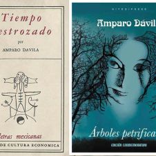 libros.jpg