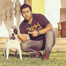 Zollye-mascota.jpg