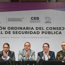 cuauh consejo de seguridad.jpg