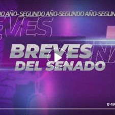 breves-del-senado-071122.JPG