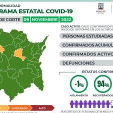 covid19 9 de noviembre.jpg