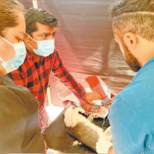 Esteriliza-Jiutepec.jpg