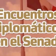 encuentros-diplomaticos-senado-141122.jpg