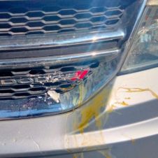 WhatsApp Image 2024-10-12 at 2.23.18 PM.jpeg