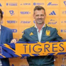 Ya-está-en-tigres.jpg