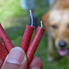 mascotas-cohetes-miedo-calmar-141219.jpg