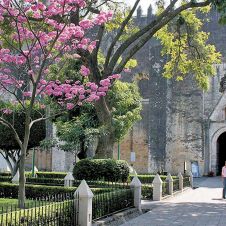 catedral-Morelos-081222.jpg