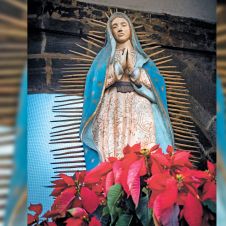 alistan-festejos-virgen-guadalupe-101222.jpg