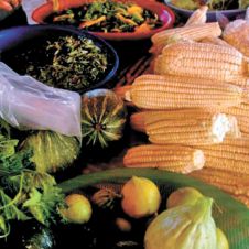 alimentos-de-la-milpa-111222.jpg